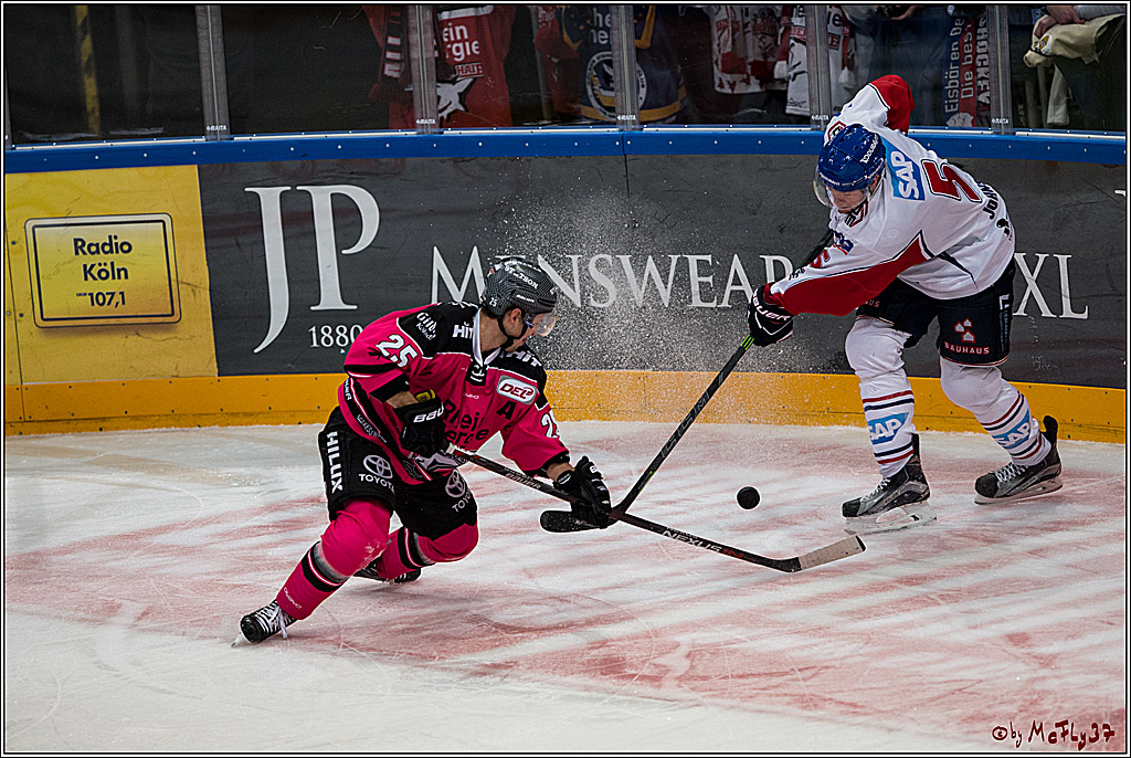 Koelner Haie - Adler Mannheim, 30.10.2016